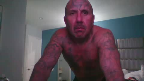 Snapshot of 1nastya8 chatting on December 4, 5:55 pm TheShyOne18 online show from December 4, 5:55 pm