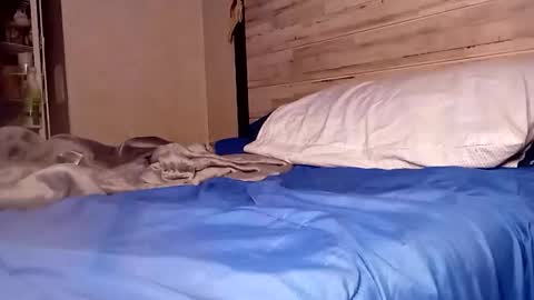 BlacJewels online show from February 15, 3:13 am