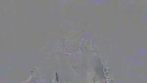 Berk online show from March 4, 12:29 am