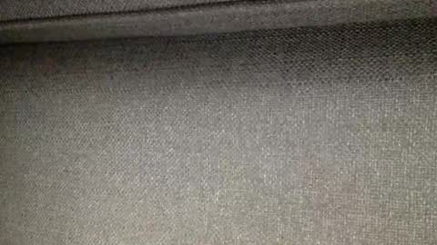 30nick online show from April 2, 3:59 am