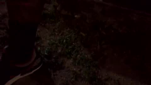 47OMARANIRSEO7 online show from October 5, 11:20 pm