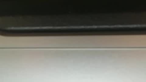 FUCKR online show from October 3, 11:15 am