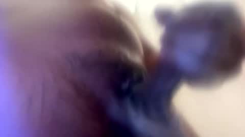 Ceez online show from May 24, 12:33 pm
