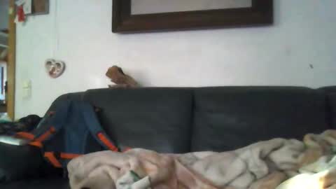 b0rn4porn online show from April 27, 5:30 pm