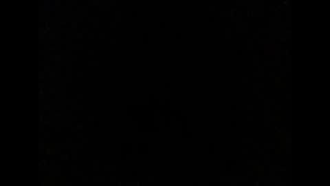 Max online show from January 6, 2:54 pm