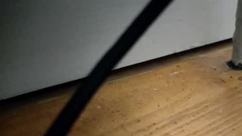 _nicetobehere_ online show from January 16, 1:03 pm