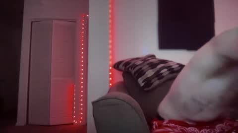 REDxxx online show from January 17, 5:42 pm