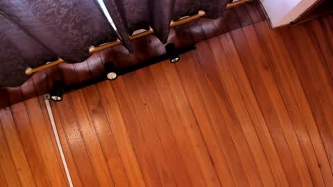 Aaron online show from December 21, 7:38 pm