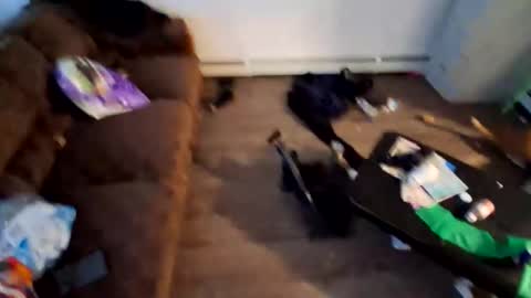 not going to tell you online show from January 11, 7:50 pm