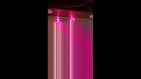 act_right_dub420 online show from January 9, 5:56 am