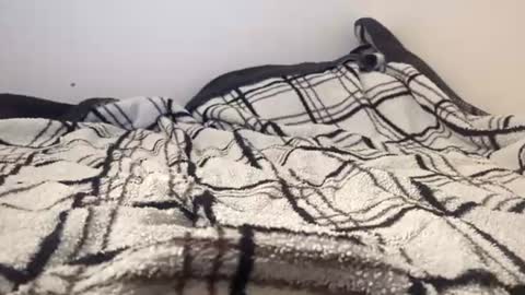 Submissive ginger online show from July 14, 10:32 am