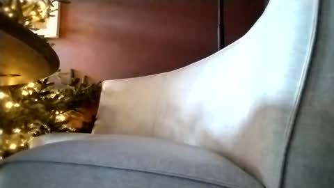 I love a little angel online show from December 1, 11:35 am