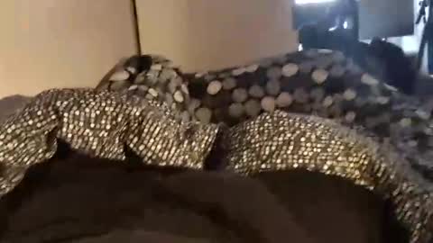 Snapshot of adrisex2002 chatting on December 22, 10:49 am adrisex2002 online show from December 22, 10:49 am