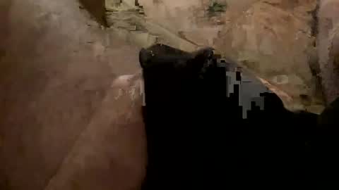 Snapshot of aerofloteria chatting on February 8, 2:36 am aerofloteria online show from February 8, 2:36 am