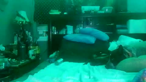 ahappyhippie online show from January 27, 8:07 am