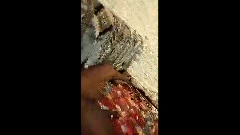 Ahmed online show from April 20, 10:51 am