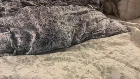 aj86cam online show from January 10, 2:06 am