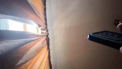 alex831130 online show from March 12, 1:52 pm