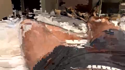 alexander418284 online show from September 12, 9:04 pm