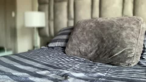 alexander grey online show from November 28, 1:02 pm