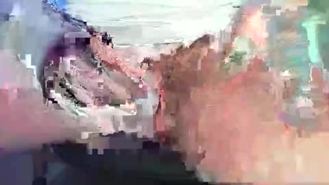 Alex online show from December 15, 2:58 pm