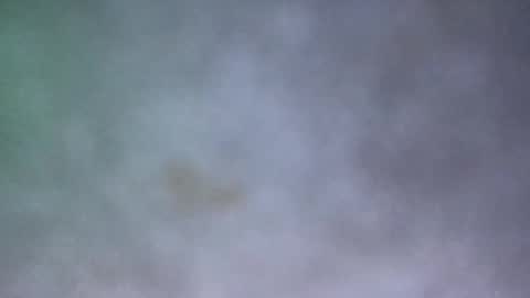 all_most_sane online show from May 17, 3:30 pm