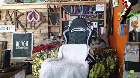 Allan arod online show from January 12, 8:14 pm