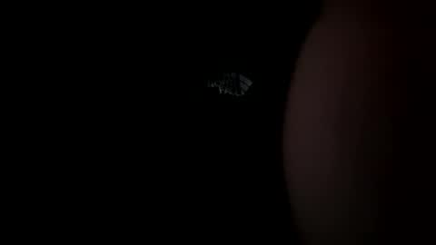 almightygod21 online show from December 8, 9:57 am