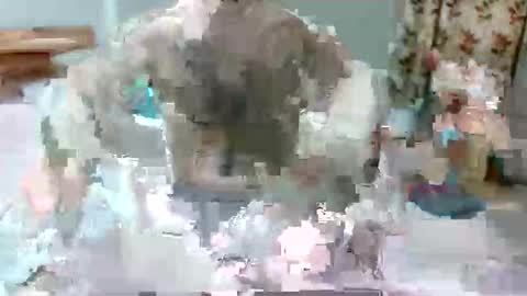 Snapshot of alphajosh chatting on October 8, 5:23 am alphajosh online show from October 8, 5:23 am