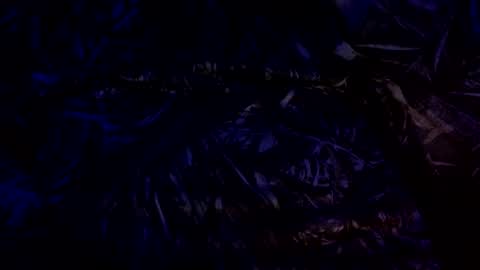 anal_stoner69 online show from December 4, 2:31 am