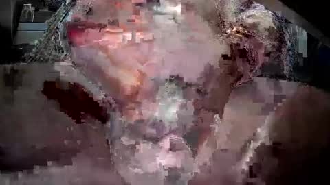 andrewkam1 online show from March 11, 2:54 am