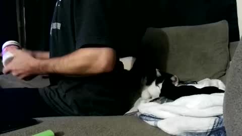 Snapshot of andybadass chatting on October 28, 8:11 pm andybadass online show from October 28, 8:11 pm