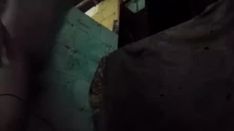 anonimode18cm1 online show from March 16, 7:12 am