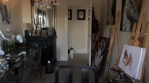 Snapshot of artisterotic chatting on March 8, 7:57 am artisterotic online show from March 8, 7:57 am