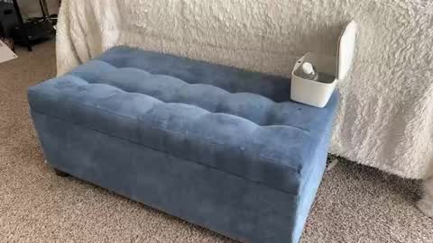 asamatter2001 online show from January 10, 8:59 pm