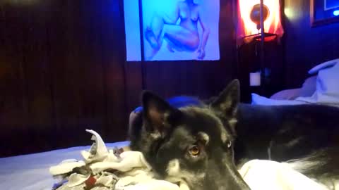 jonnyandrew online show from February 15, 8:11 am