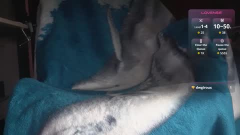 Axel online show from February 9, 5:28 pm