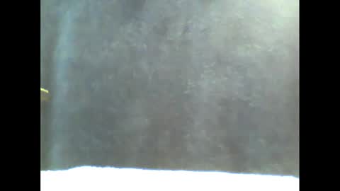 Snapshot of b1gg9inch chatting on January 20, 11:02 am b1gg9inch online show from January 20, 11:02 am