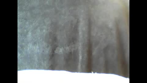 Snapshot of b1gg9inch chatting on February 15, 10:55 am b1gg9inch online show from February 15, 10:55 am