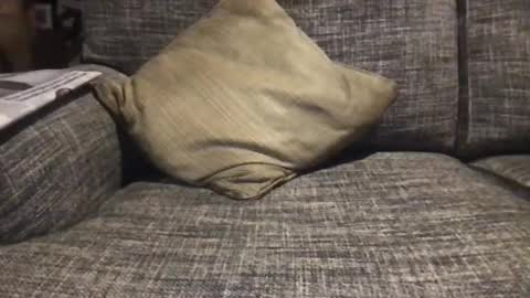 Snapshot of baykiwi54 chatting on December 17, 8:45 am baykiwi54 online show from December 17, 8:45 am