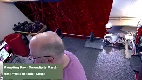 Snapshot of bazzz_8 chatting on February 1, 6:08 pm bazzz_8 online show from February 1, 6:08 pm