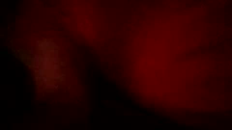 bbetoven online show from October 27, 6:49 am