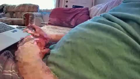 bcema2 online show from January 17, 6:47 pm