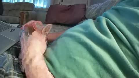 bcema2 online show from December 27, 10:48 pm