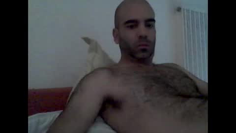 Snapshot of bear14250949 chatting on October 19, 9:12 am bear14250949 online show from October 19, 9:12 am