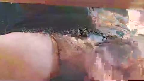 bebbi78022 online show from October 25, 7:43 am