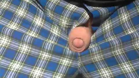  Reservoir Dogs online show from February 19, 11:28 am