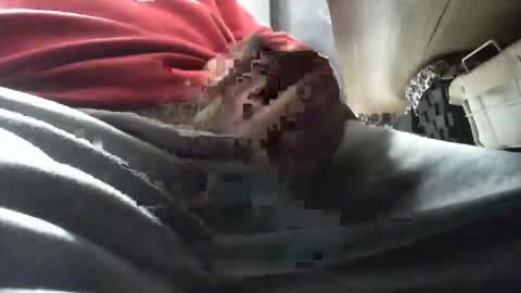 beninoam75 online show from February 6, 7:27 am