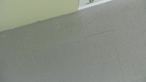 Ben online show from March 2, 7:52 pm