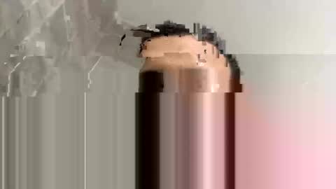 betorsido2 online show from January 10, 1:00 am